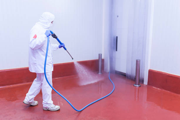 Best Soft Washing  in Springfield, CO